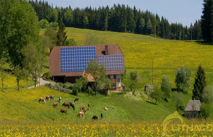 TOP 10 quốc gia hàng đầu lắp đặt Hệ thống điện Năng Lượng mặt trời (PV)