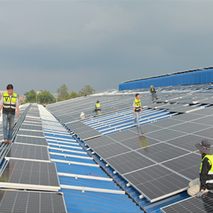 dien-mat-troi-hoa-luoi-7 dien-mat-troi-hoa-luoi-7