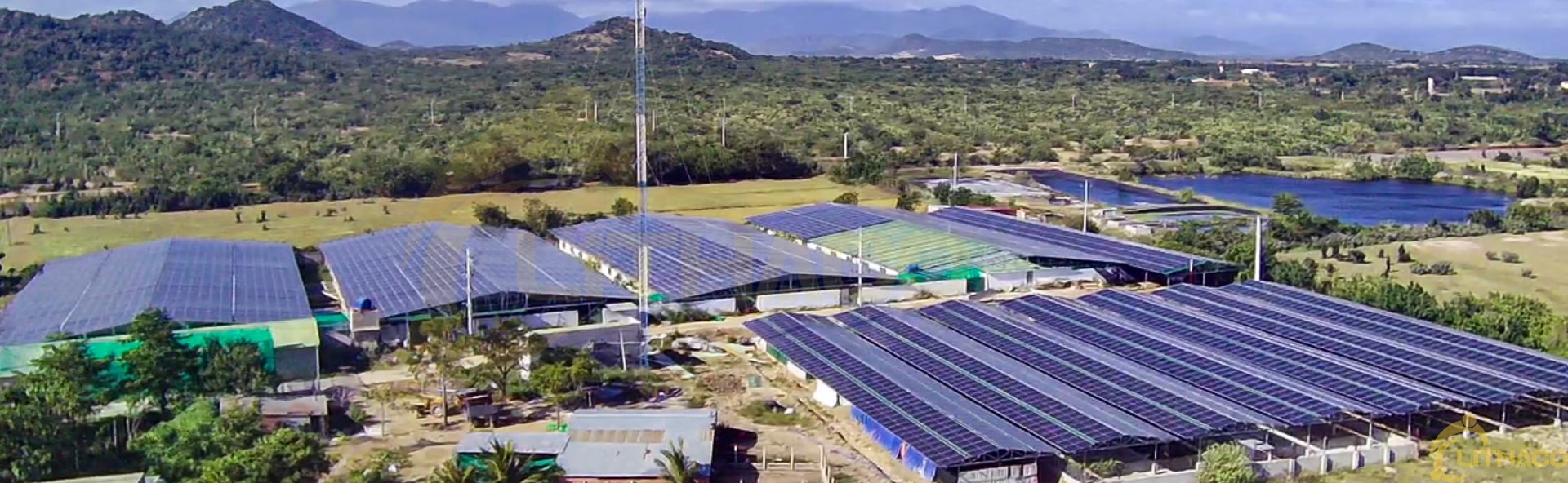 phuoc-trung-min phuoc-trung-min