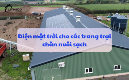 Điện mặt trời cho các trang trại chăn nuôi sạch