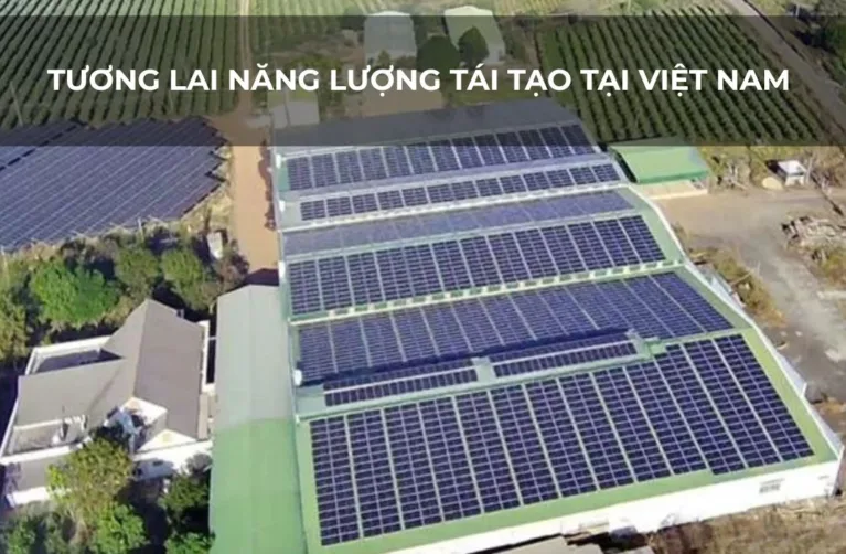 Tương Lai Năng Lượng Tái Tạo Tại Việt Nam