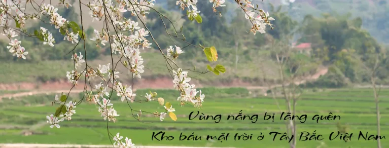 Vùng nắng bị lãng quên – Kho báu mặt trời ở Tây Bắc Việt Nam