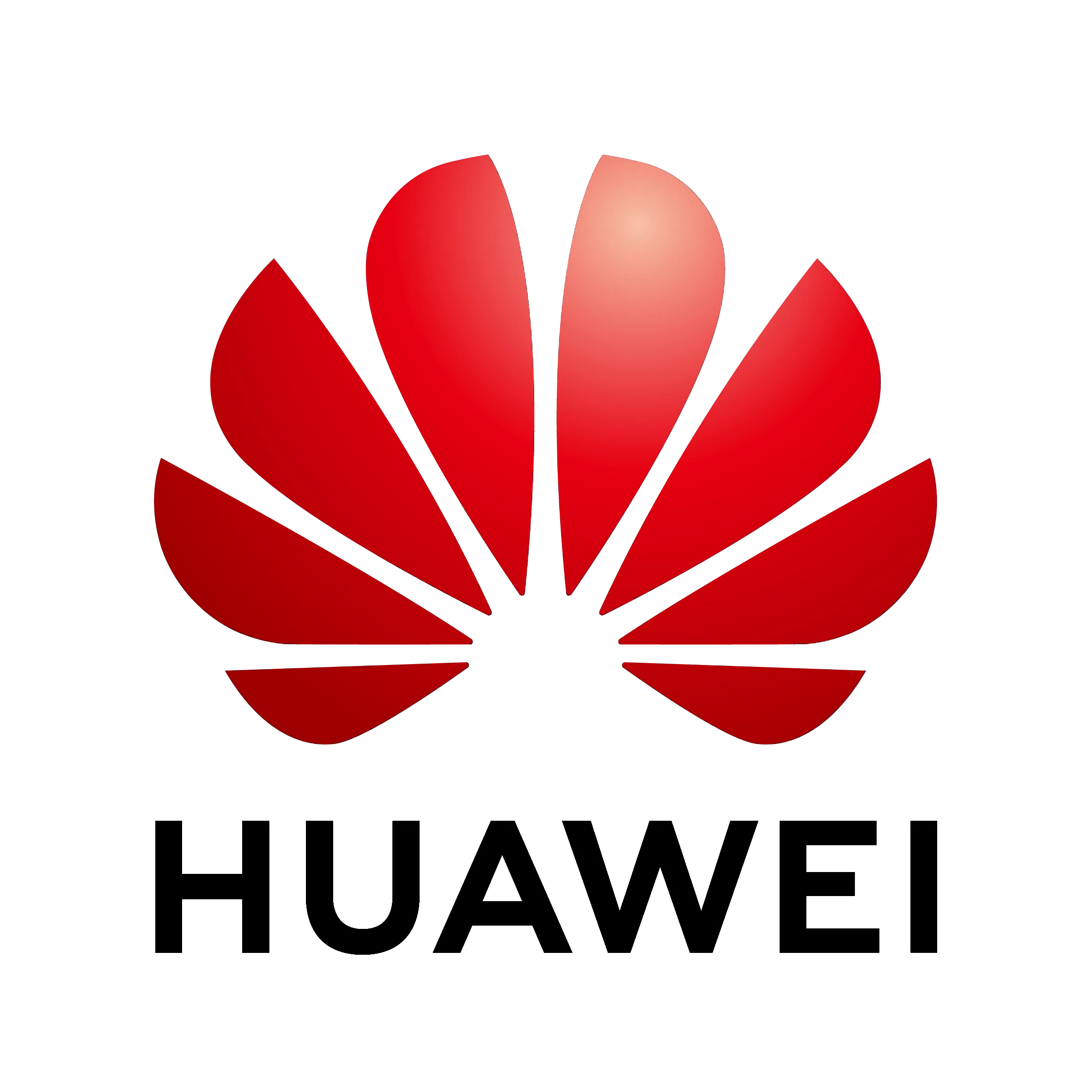 Năng lực & Ghi nhận